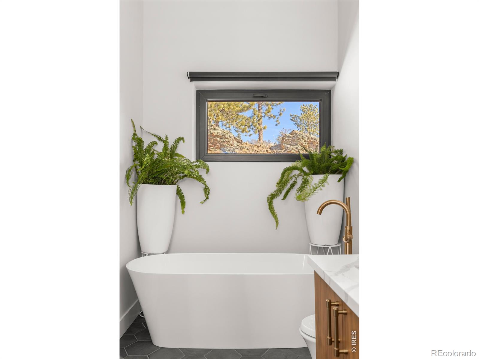 MLS Image #14 for 103 w wildewood drive,nederland, Colorado
