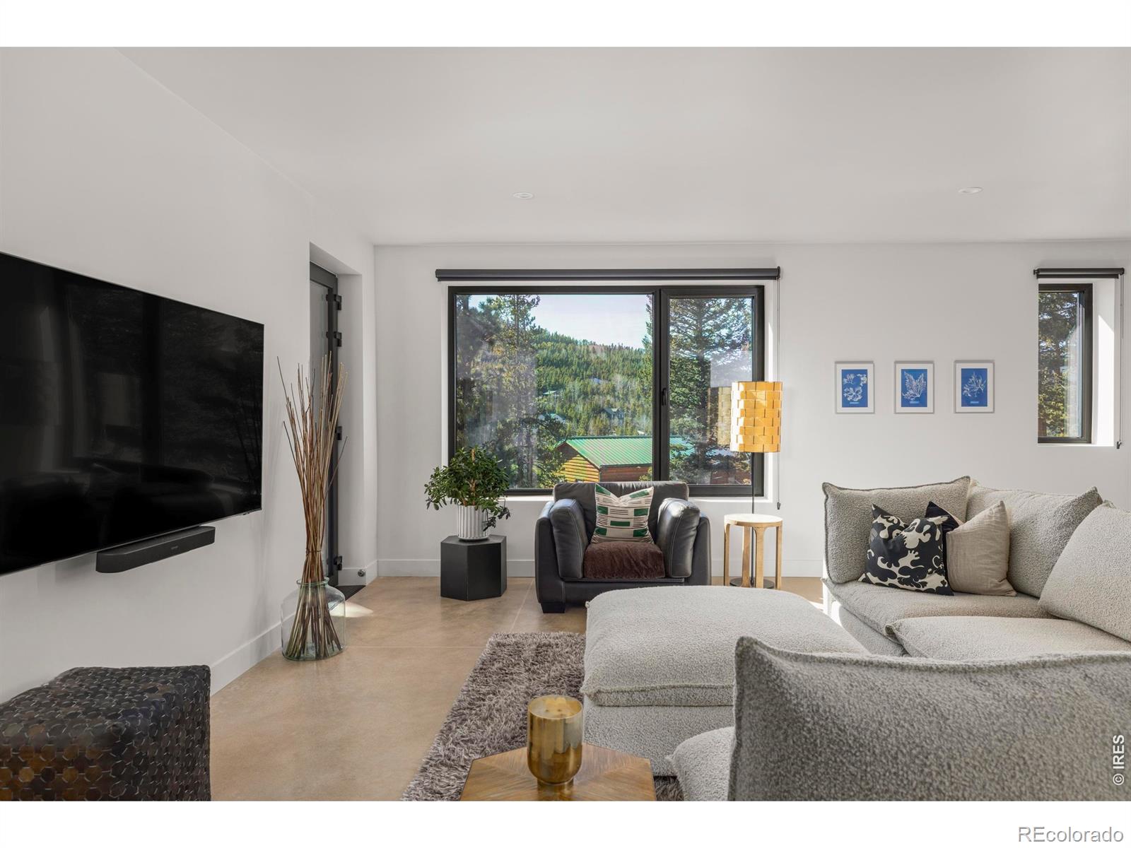MLS Image #16 for 103 w wildewood drive,nederland, Colorado