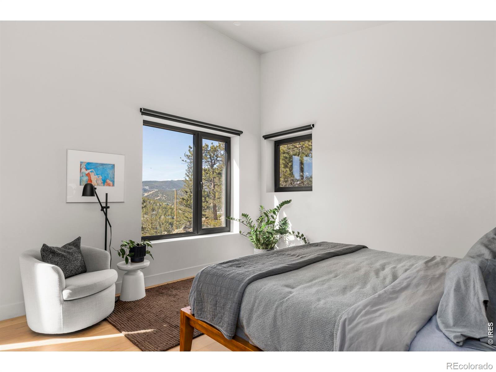 MLS Image #4 for 103 w wildewood drive,nederland, Colorado