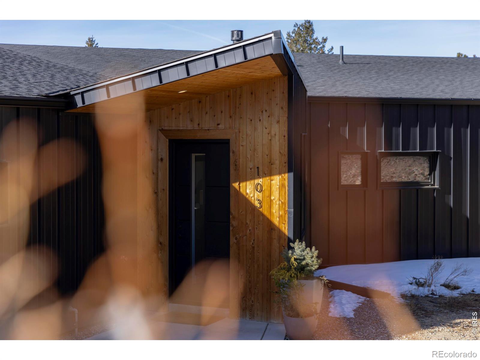 MLS Image #5 for 103 w wildewood drive,nederland, Colorado