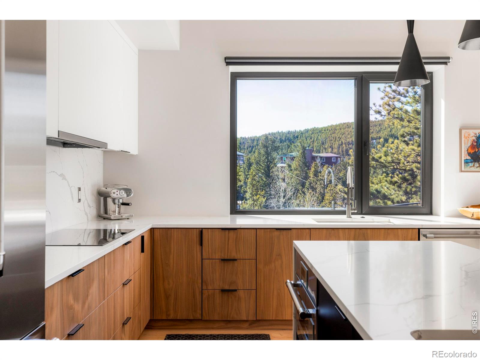 MLS Image #7 for 103 w wildewood drive,nederland, Colorado