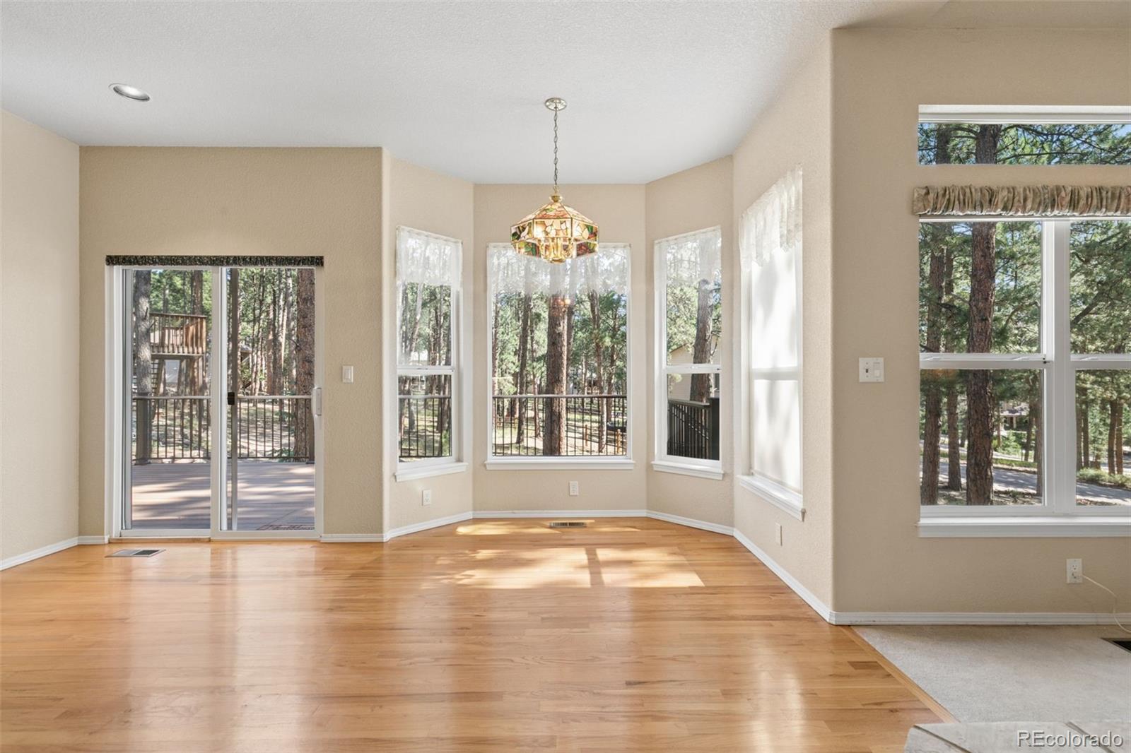 MLS Image #12 for 15831  longmeadow lane,colorado springs, Colorado