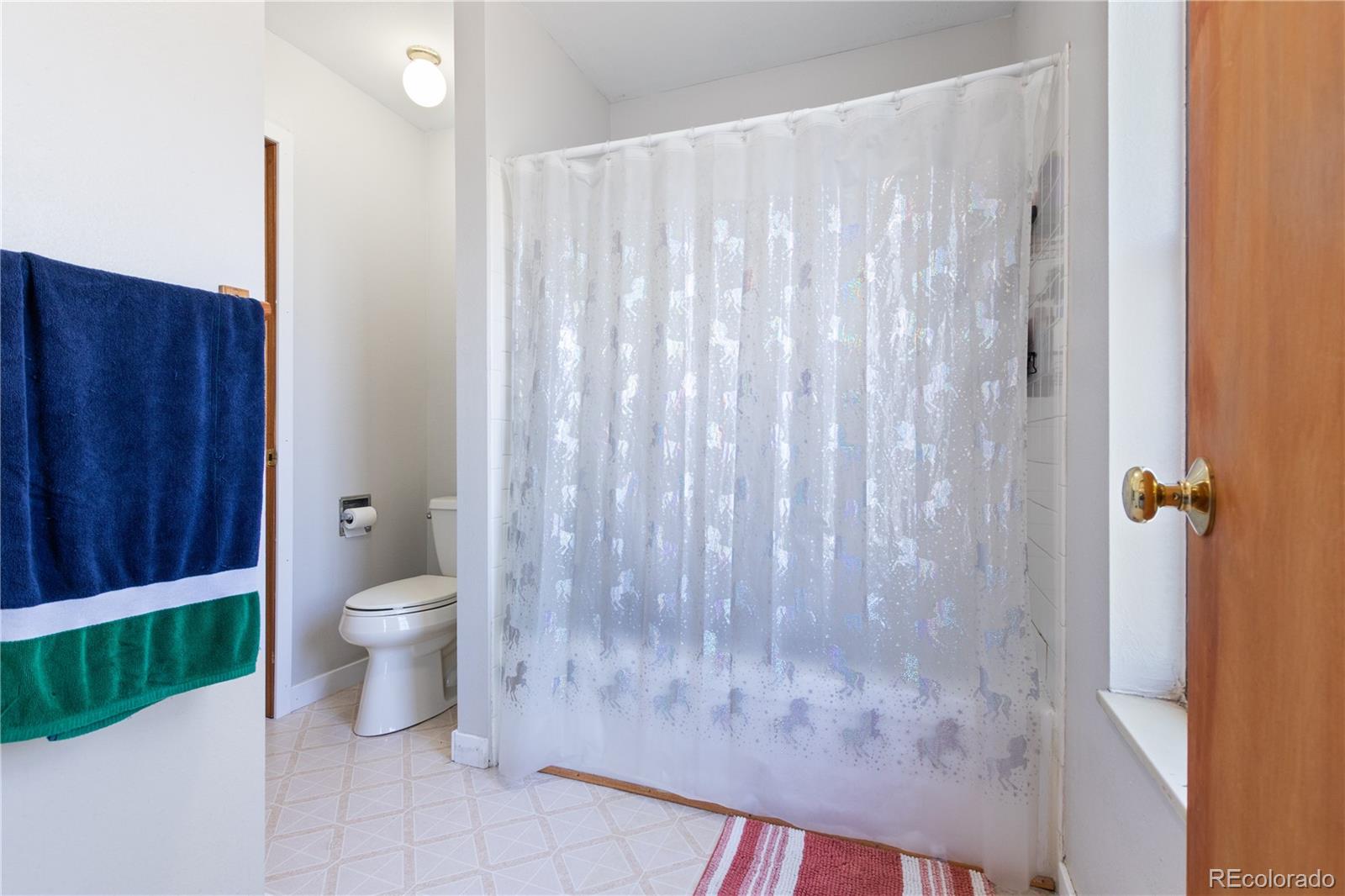 MLS Image #13 for 1754 e 97th drive,thornton, Colorado