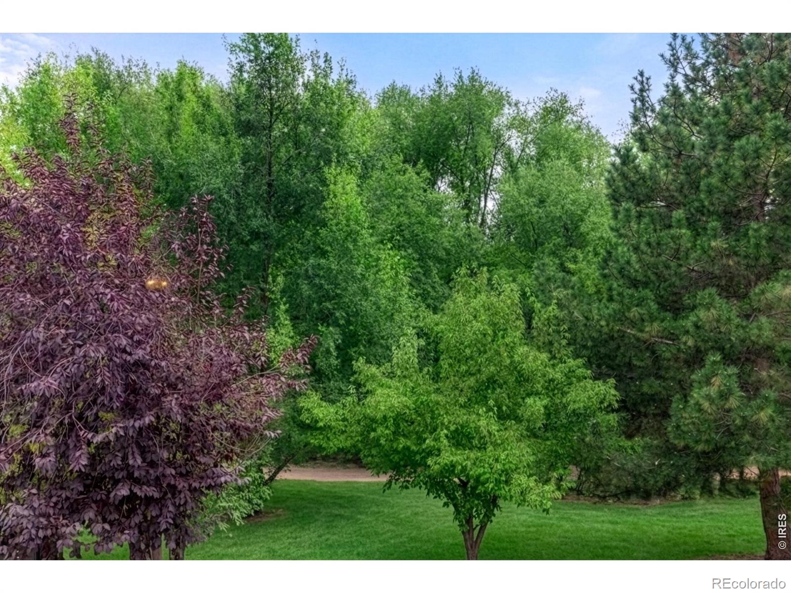 MLS Image #21 for 4788  franklin drive,boulder, Colorado