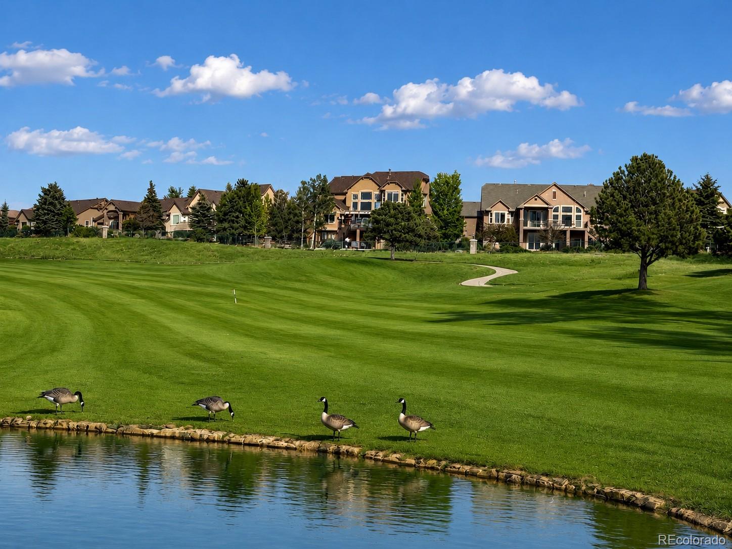MLS Image #31 for 9952  oak knoll terrace,colorado springs, Colorado