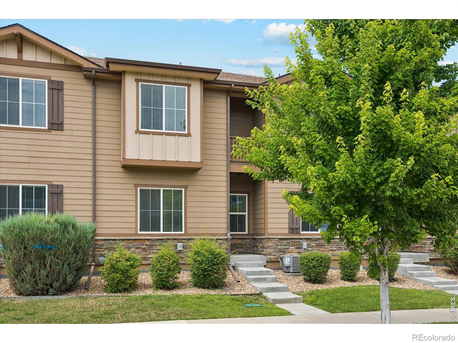 MLS Image #1 for 1211  bistre street,longmont, Colorado