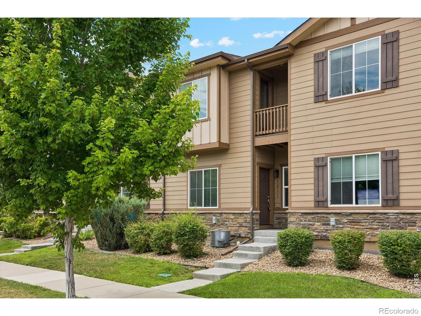 MLS Image #2 for 1211  bistre street,longmont, Colorado