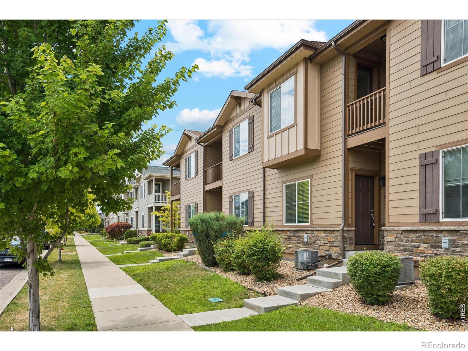 MLS Image #3 for 1211  bistre street,longmont, Colorado