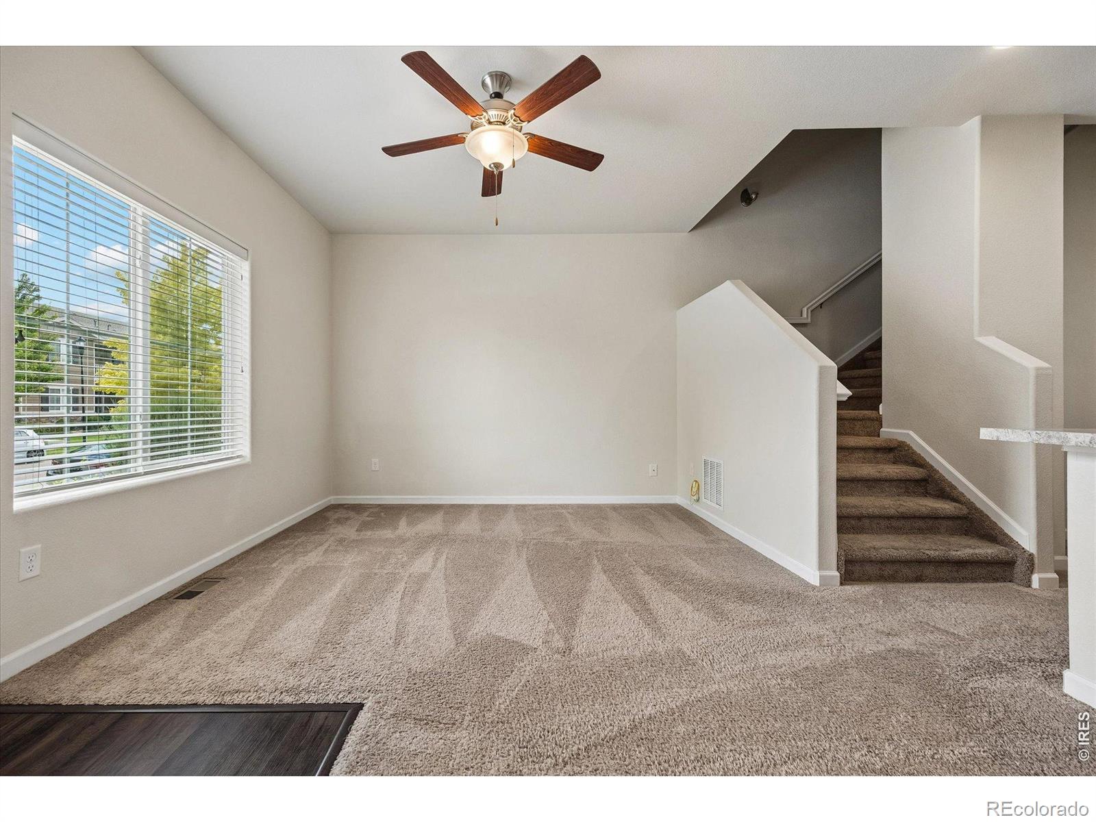 MLS Image #7 for 1211  bistre street,longmont, Colorado