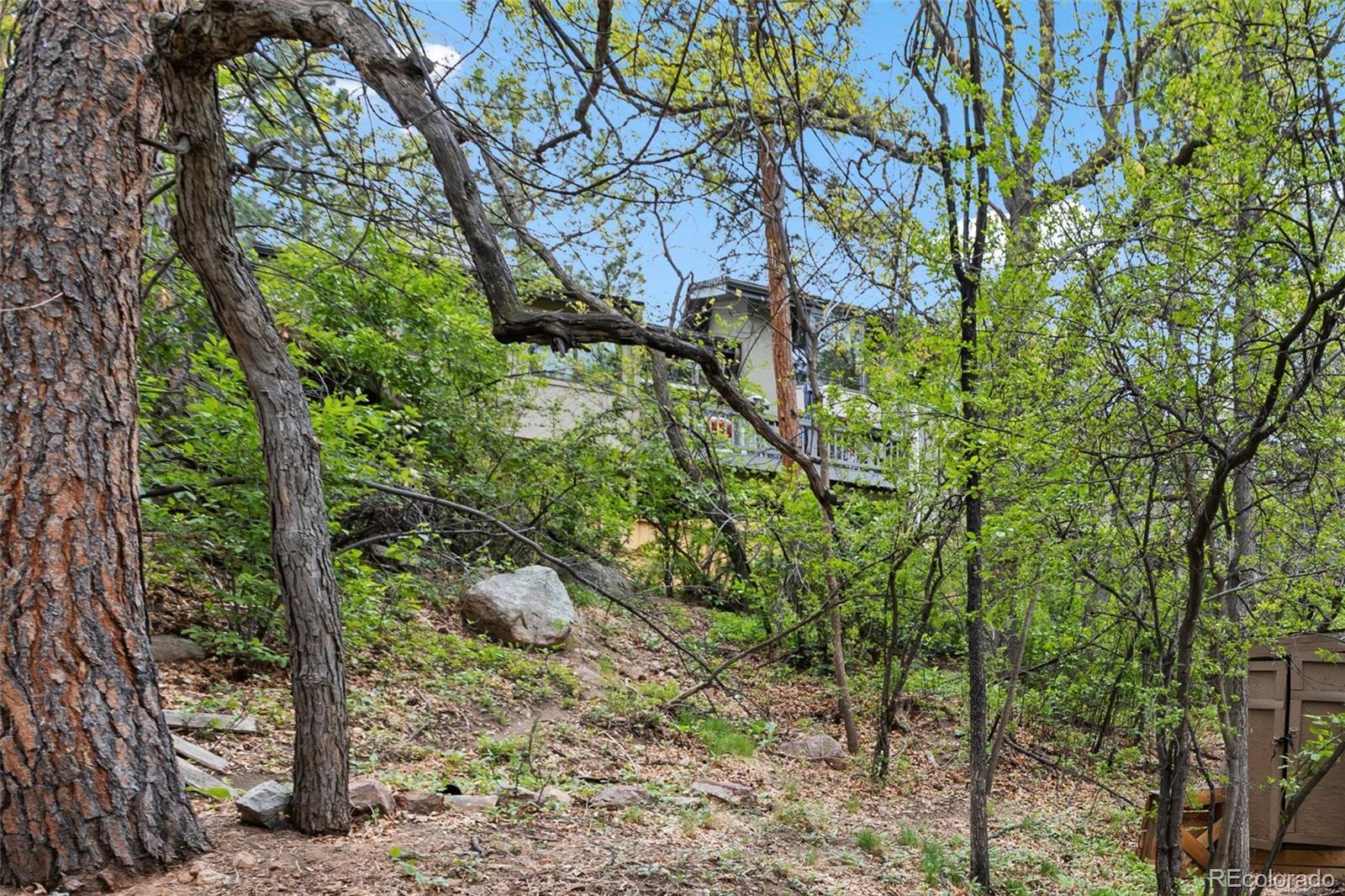 MLS Image #8 for 1531 w cheyenne road,colorado springs, Colorado