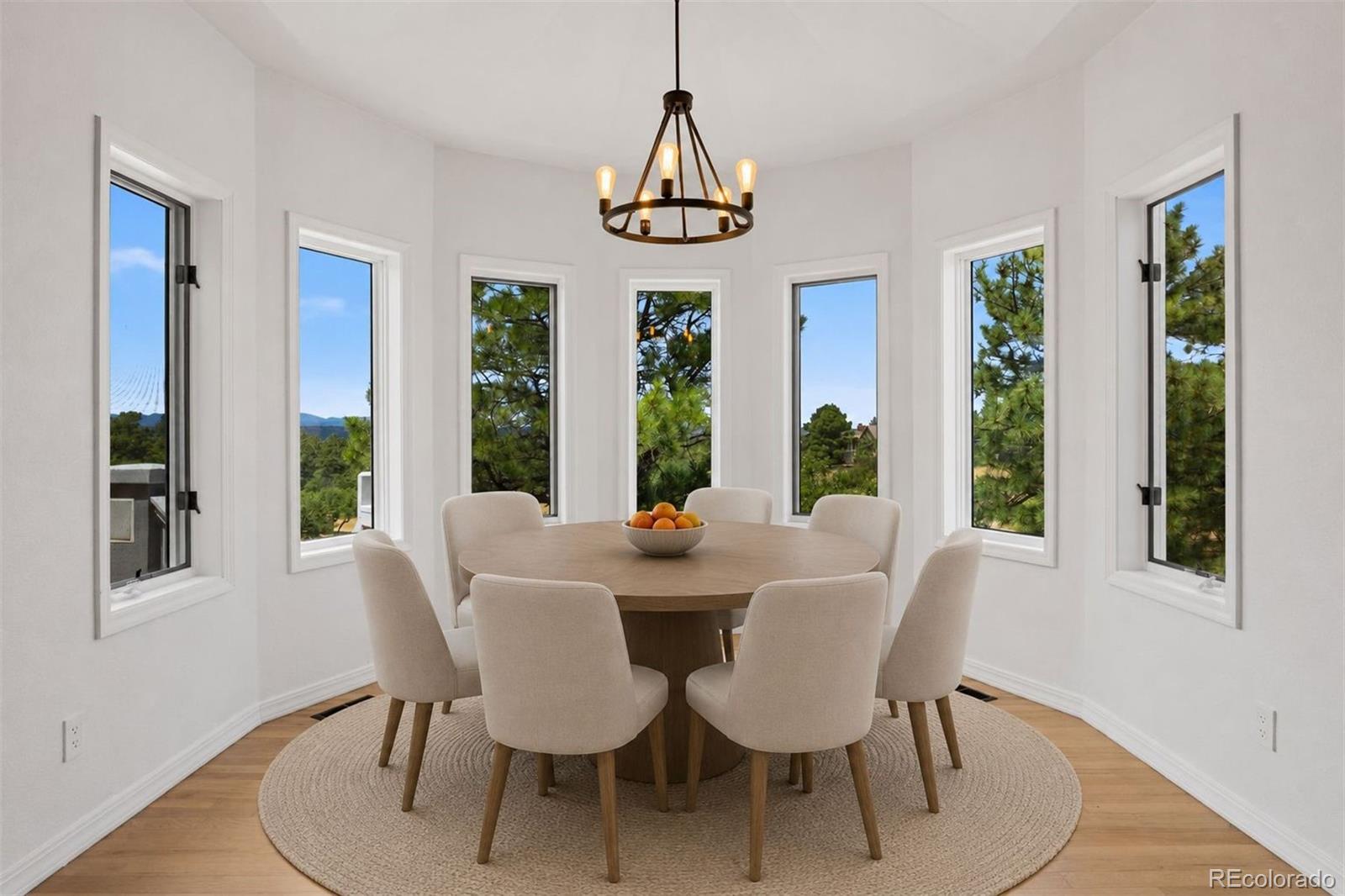 MLS Image #13 for 8377  burning tree drive,franktown, Colorado