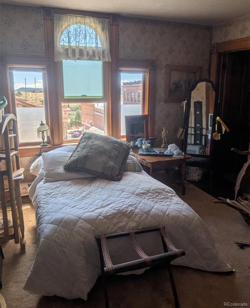 MLS Image #9 for 401 e carr avenue,cripple creek, Colorado