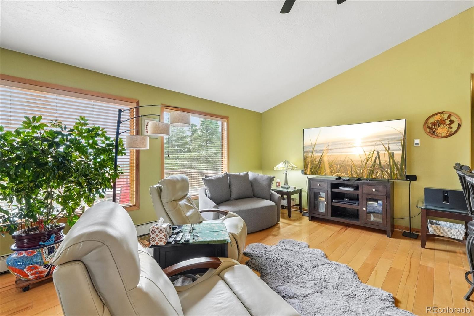 MLS Image #5 for 1034  karlann drive,black hawk, Colorado