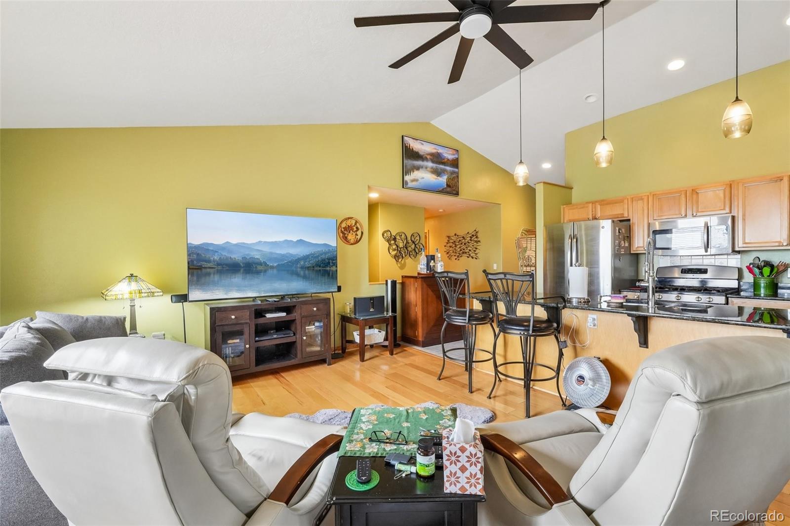 MLS Image #6 for 1034  karlann drive,black hawk, Colorado