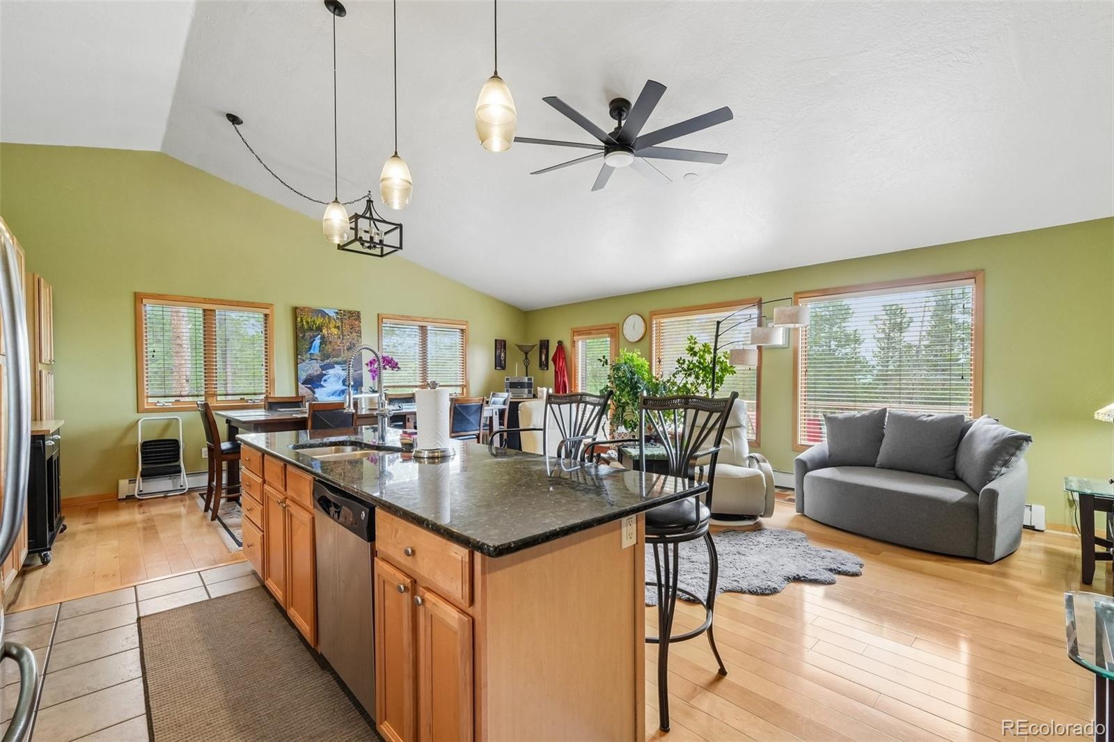 MLS Image #7 for 1034  karlann drive,black hawk, Colorado