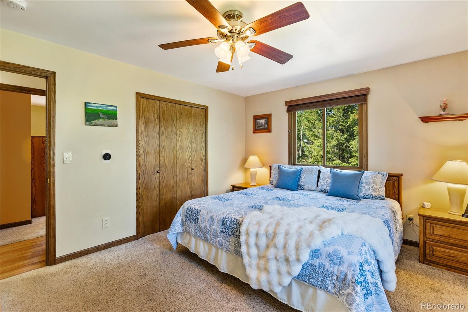 MLS Image #11 for 69  cody creek trail,divide, Colorado