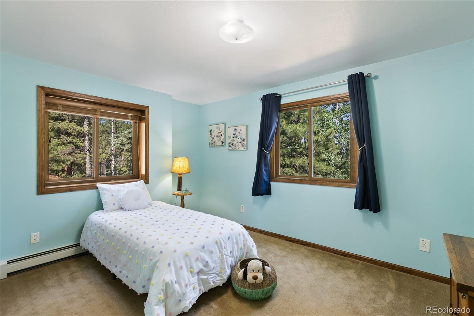 MLS Image #17 for 69  cody creek trail,divide, Colorado