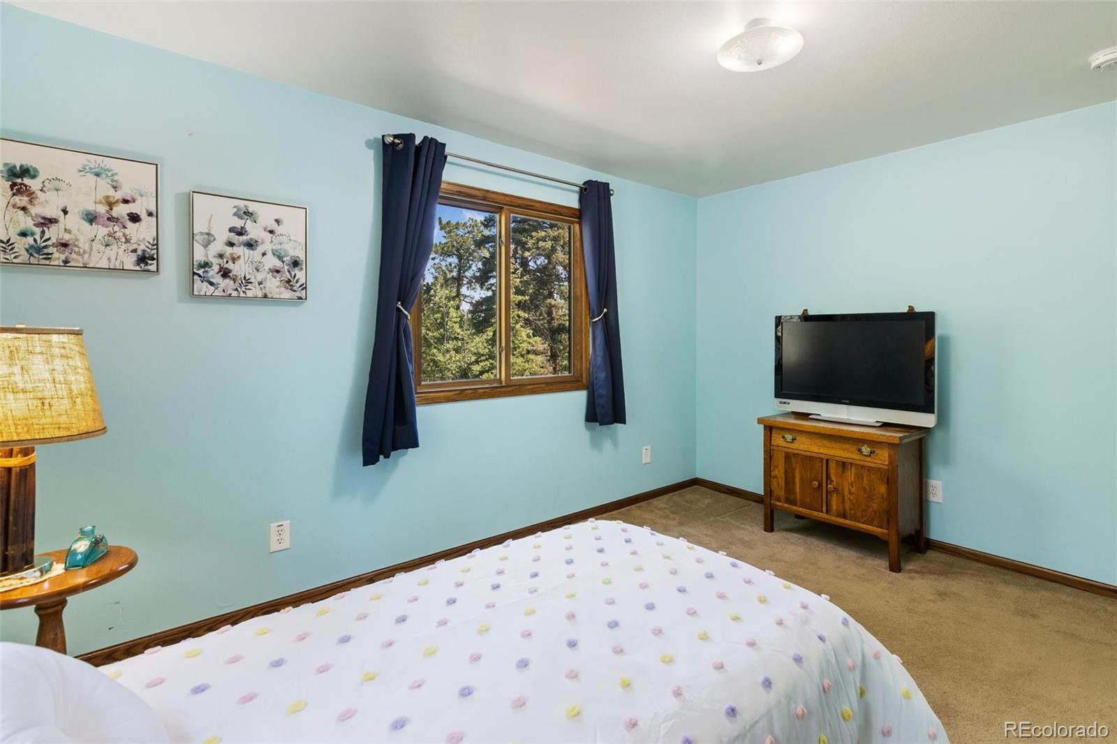 MLS Image #18 for 69  cody creek trail,divide, Colorado