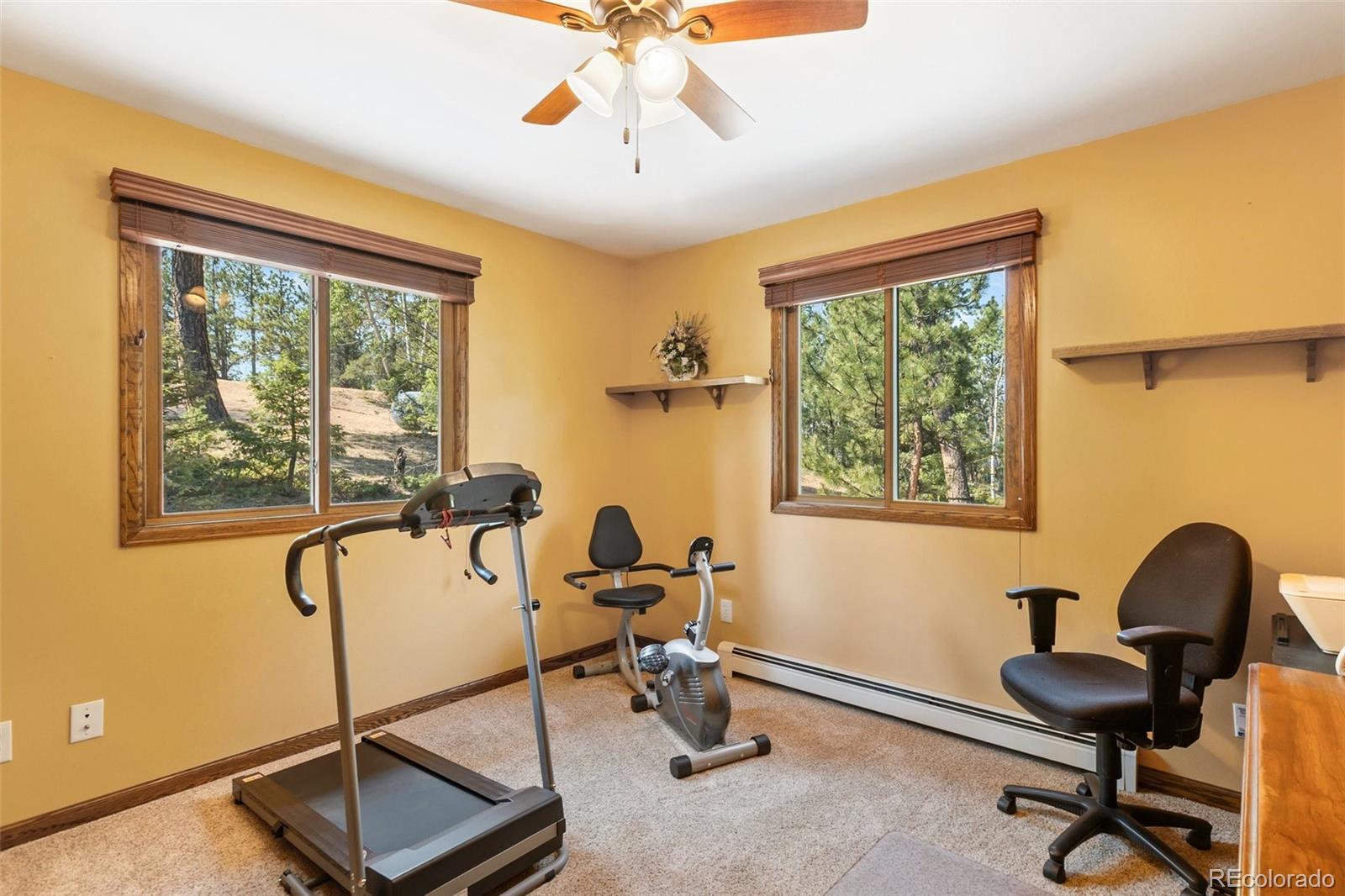 MLS Image #25 for 69  cody creek trail,divide, Colorado