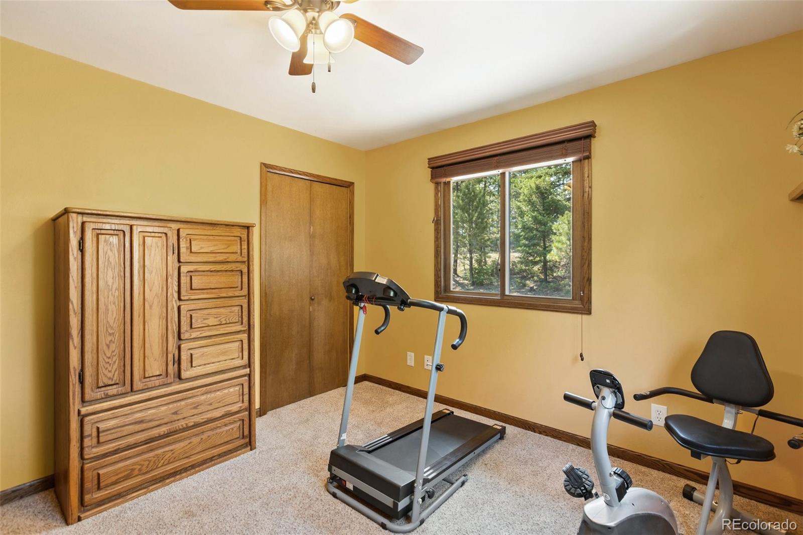 MLS Image #26 for 69  cody creek trail,divide, Colorado