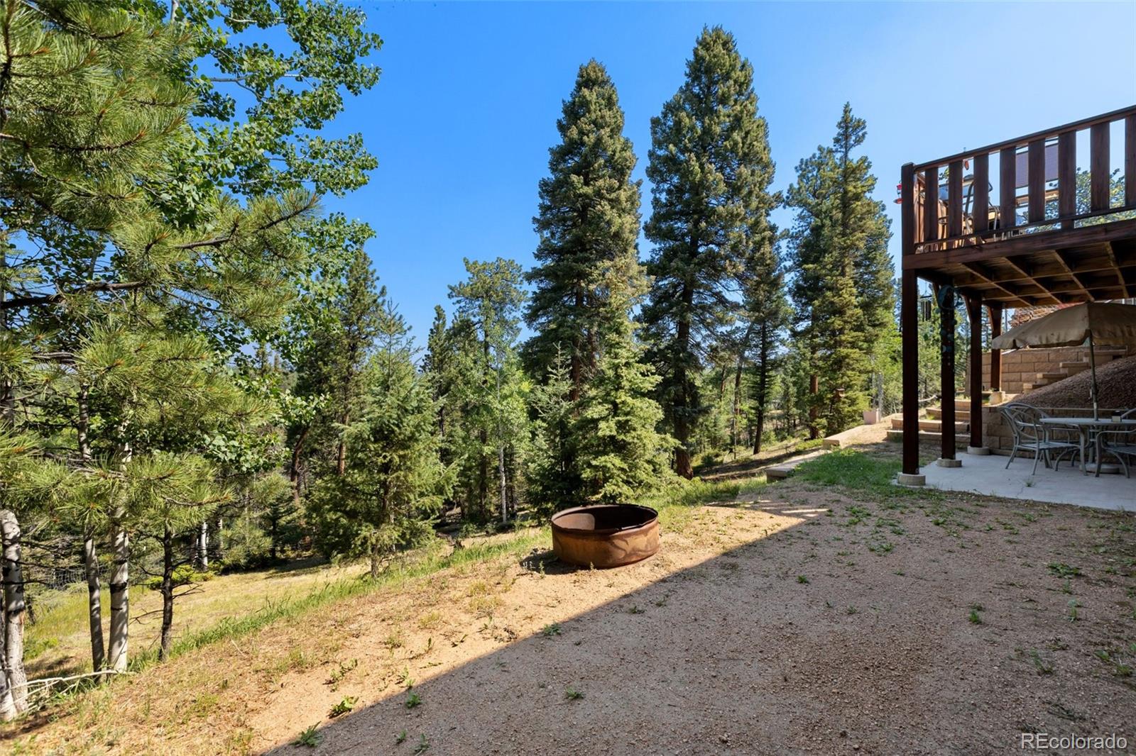 MLS Image #31 for 69  cody creek trail,divide, Colorado