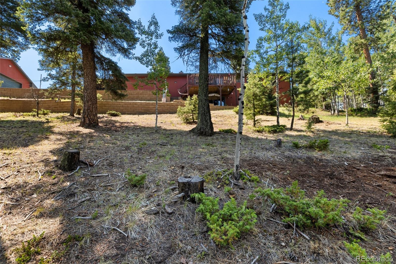 MLS Image #32 for 69  cody creek trail,divide, Colorado
