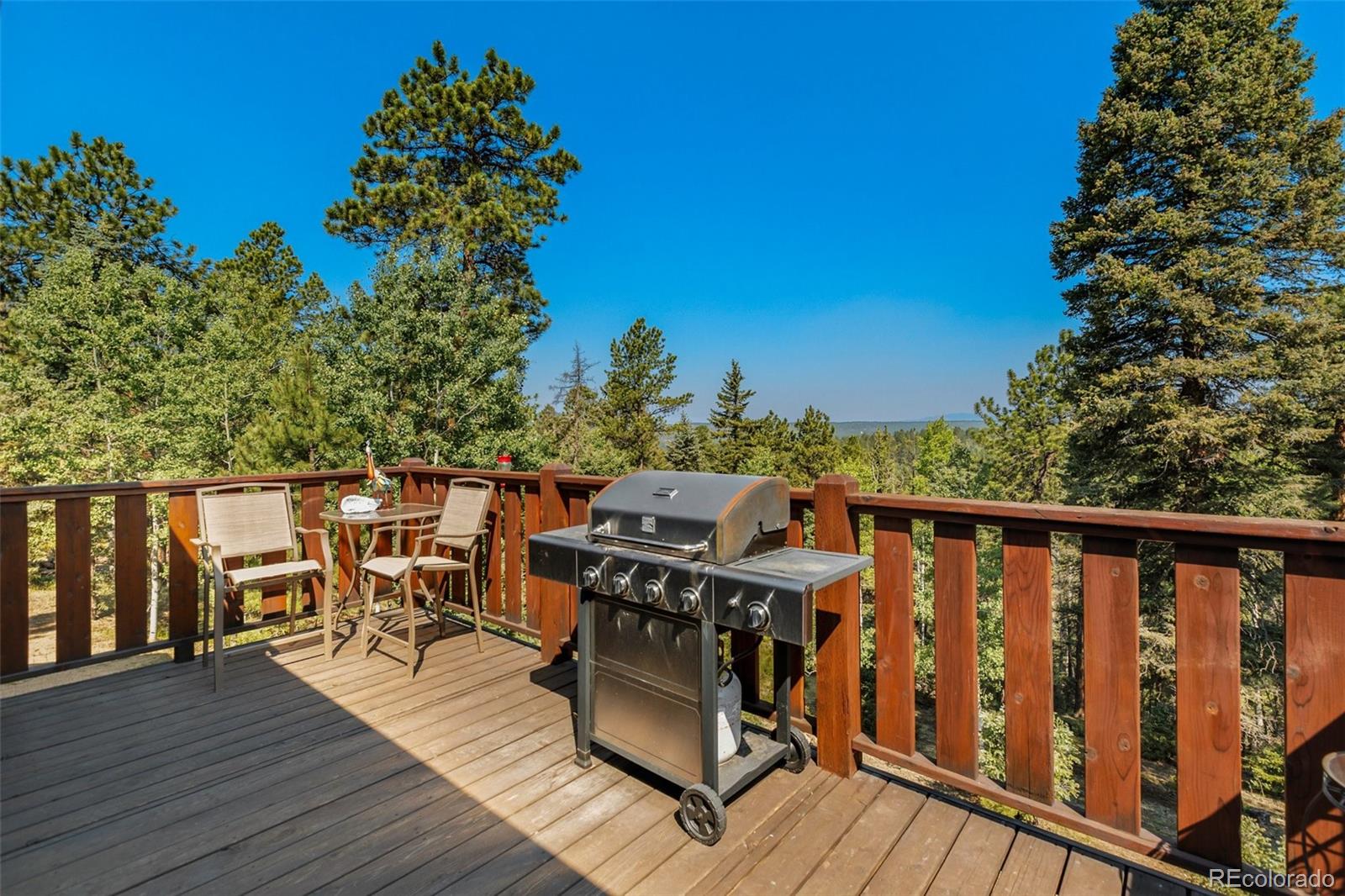 MLS Image #40 for 69  cody creek trail,divide, Colorado