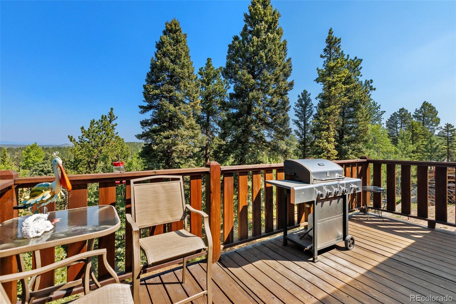 MLS Image #41 for 69  cody creek trail,divide, Colorado