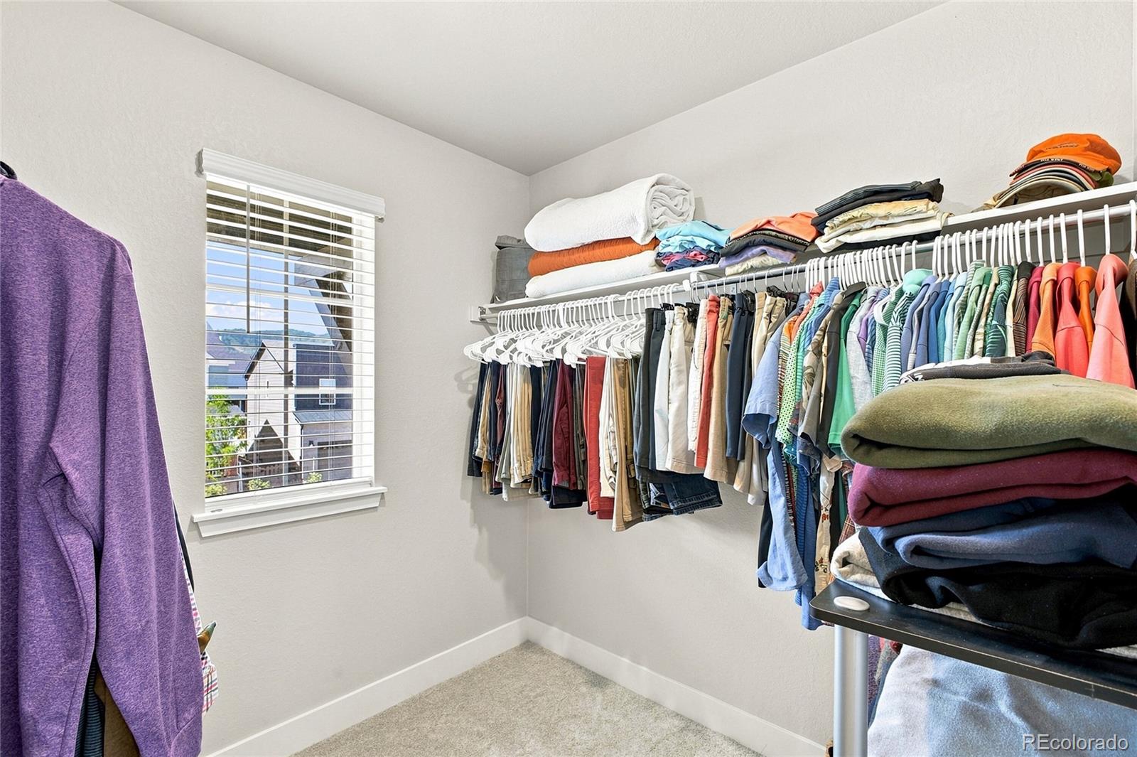 MLS Image #35 for 9777  banner peak street,littleton, Colorado