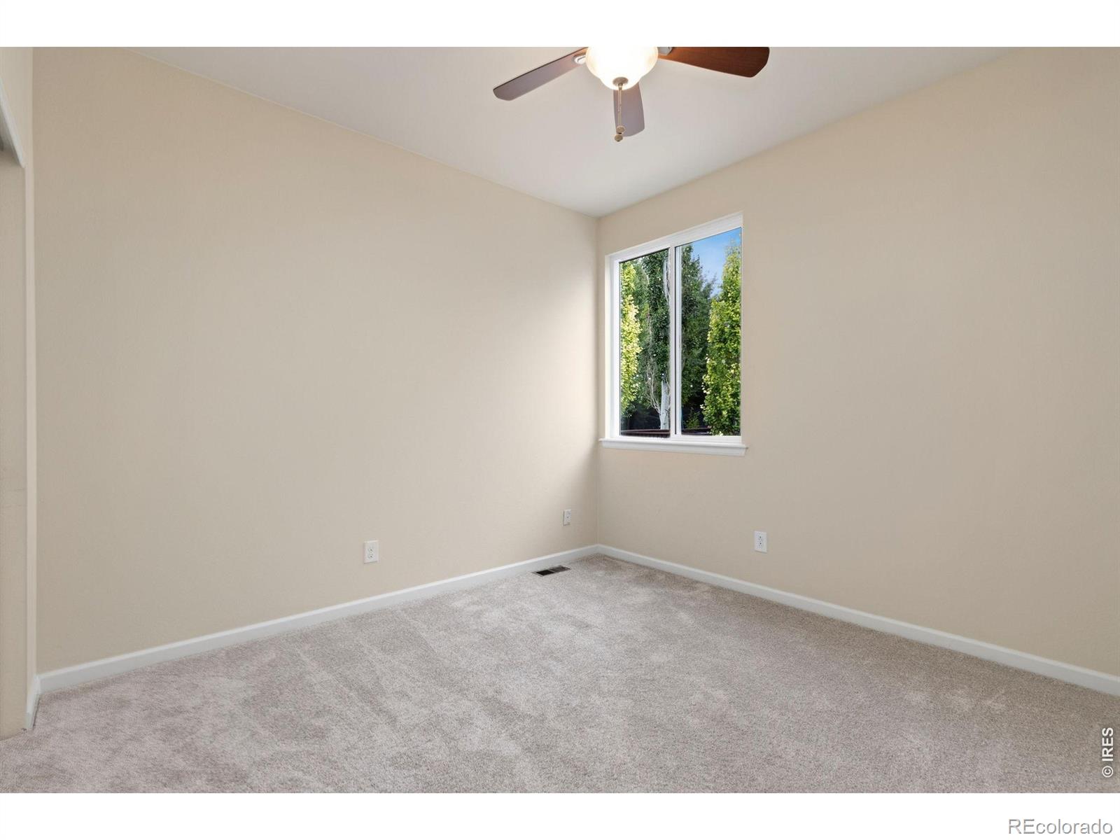 MLS Image #19 for 5415  brookline drive,timnath, Colorado