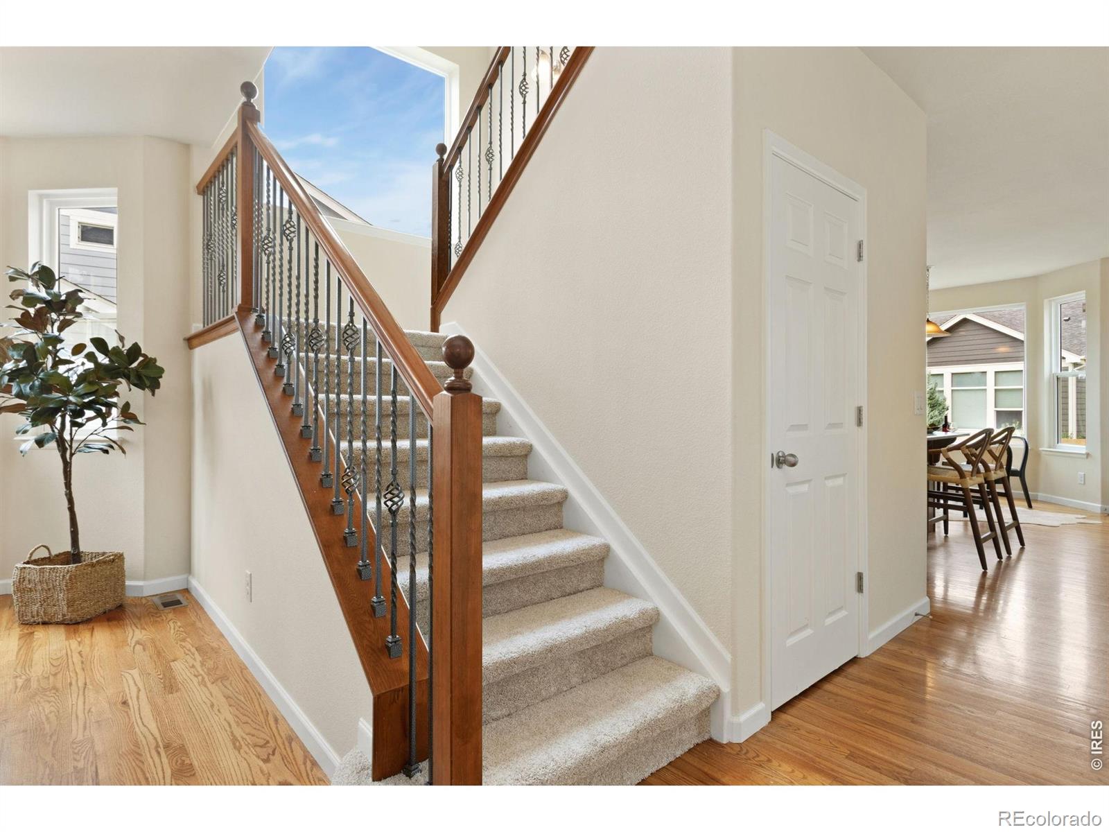 MLS Image #8 for 5415  brookline drive,timnath, Colorado
