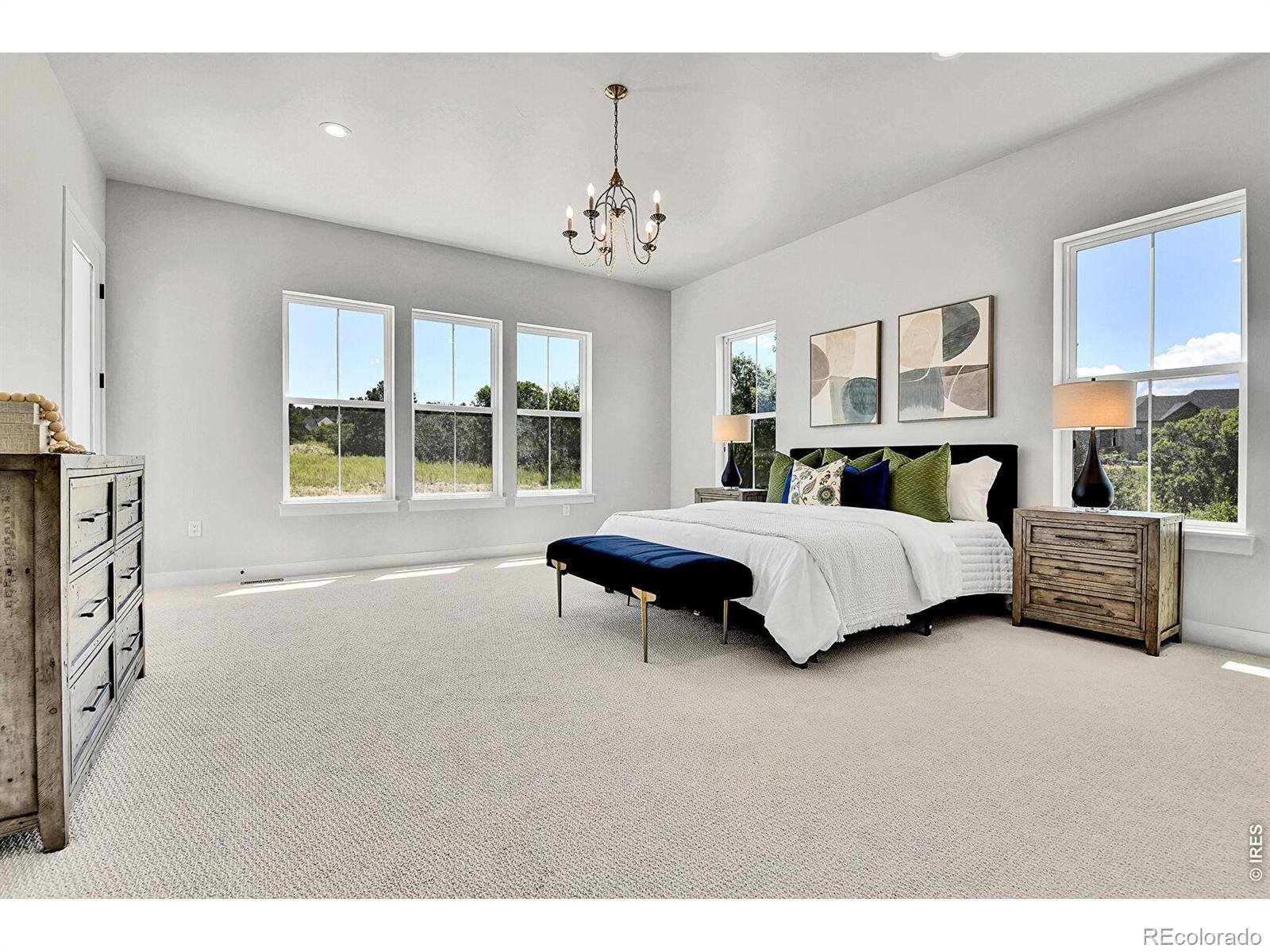 MLS Image #16 for 1700  arrowpoint court,franktown, Colorado
