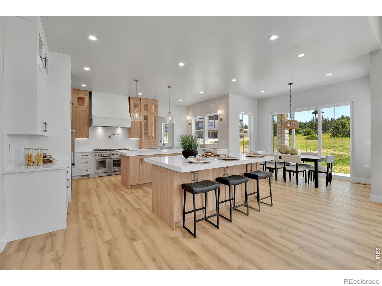 MLS Image #8 for 1700  arrowpoint court,franktown, Colorado