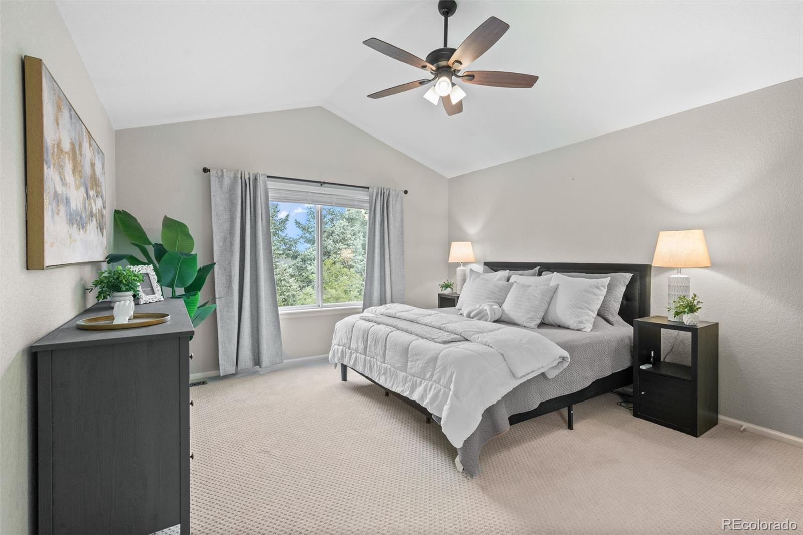 MLS Image #23 for 9868  sylvestor road,littleton, Colorado
