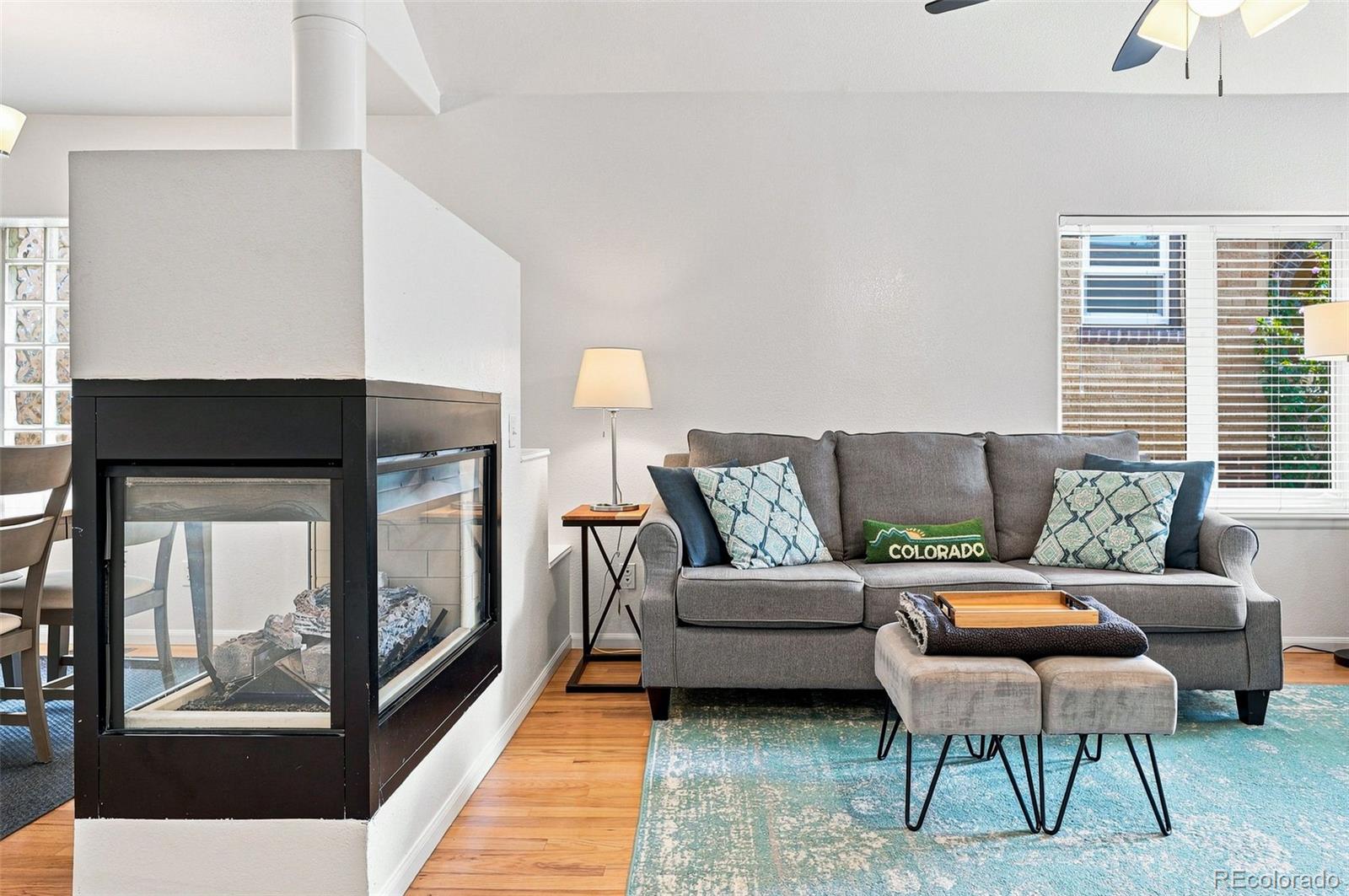 MLS Image #9 for 1028  jackson street,denver, Colorado