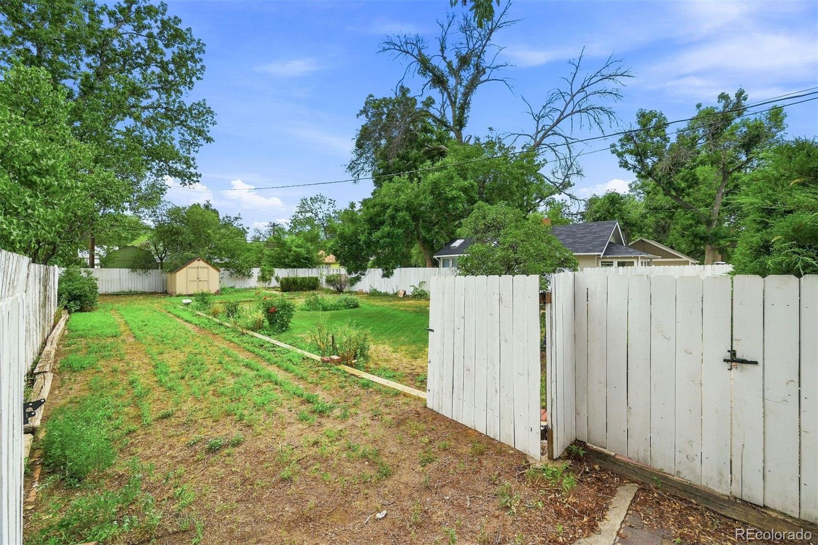 MLS Image #36 for 1623 n weber street,colorado springs, Colorado