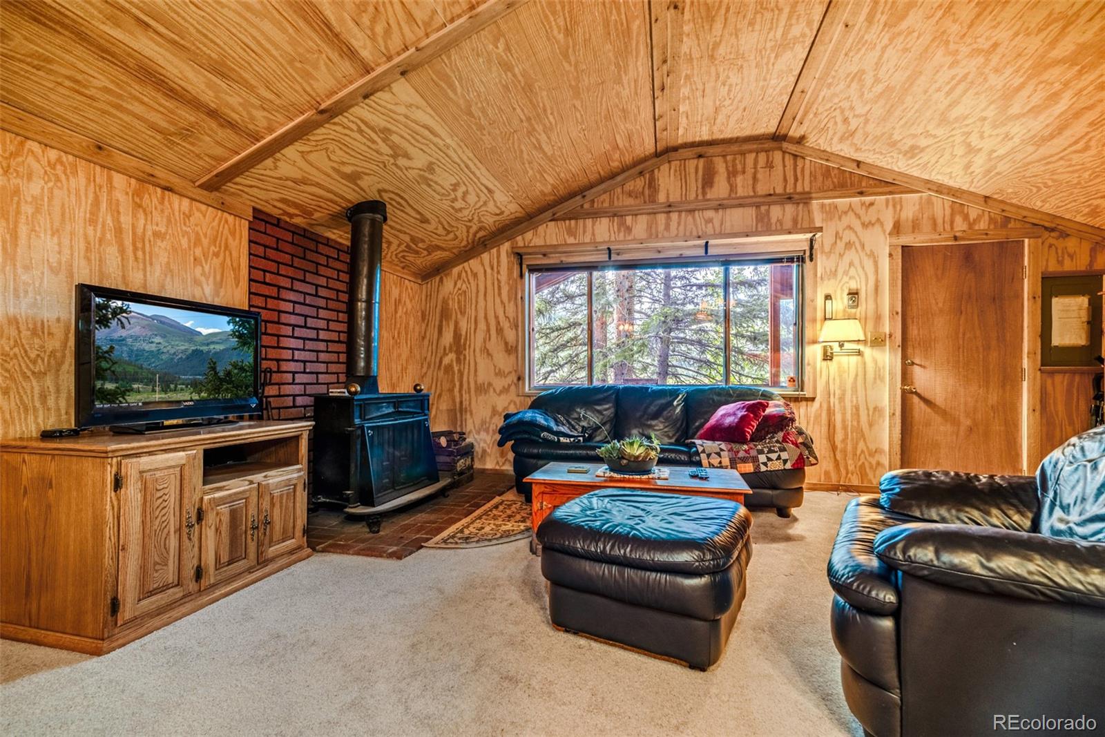 MLS Image #10 for 1772  cr-4 ,fairplay, Colorado