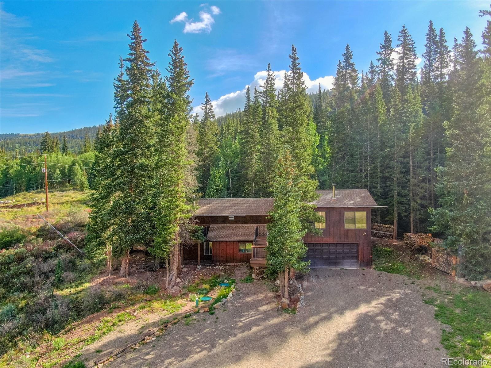 MLS Image #2 for 1772  cr-4 ,fairplay, Colorado