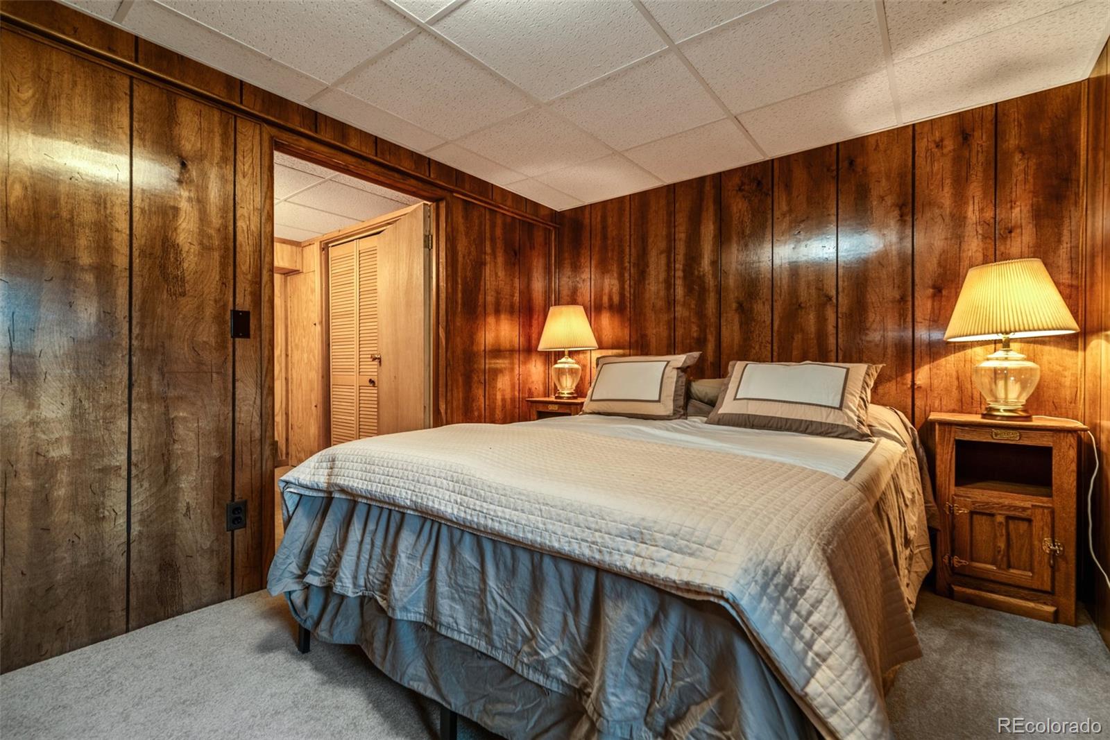 MLS Image #21 for 1772  cr-4 ,fairplay, Colorado