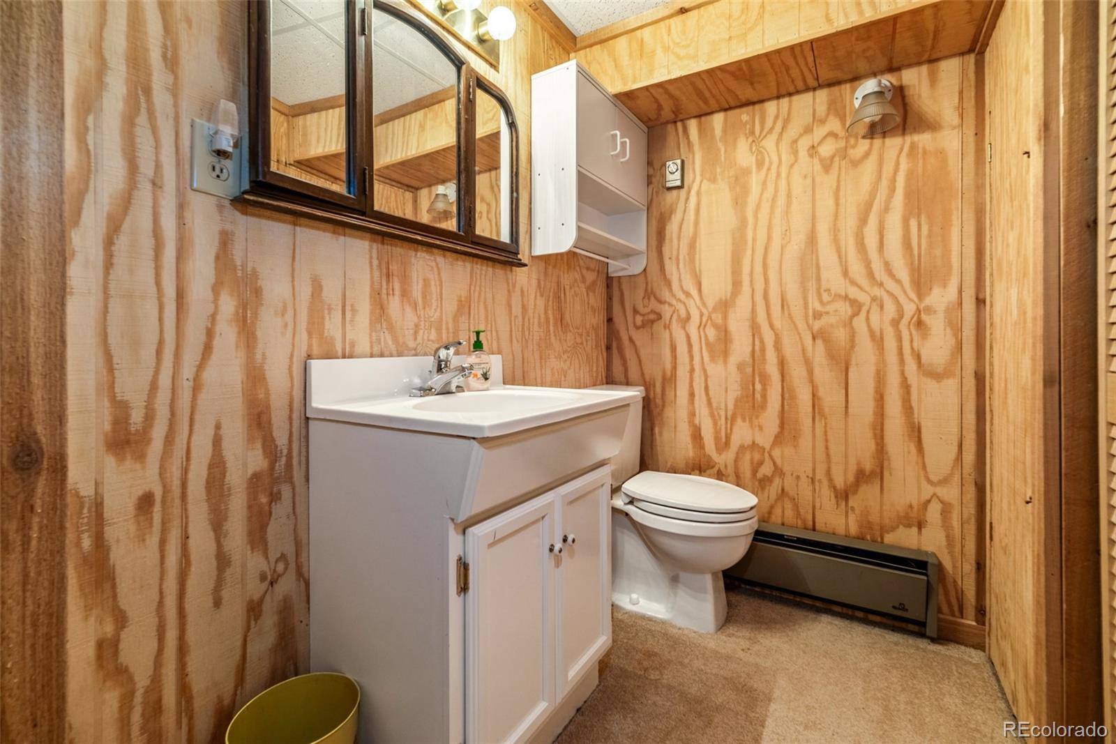 MLS Image #24 for 1772  cr-4 ,fairplay, Colorado