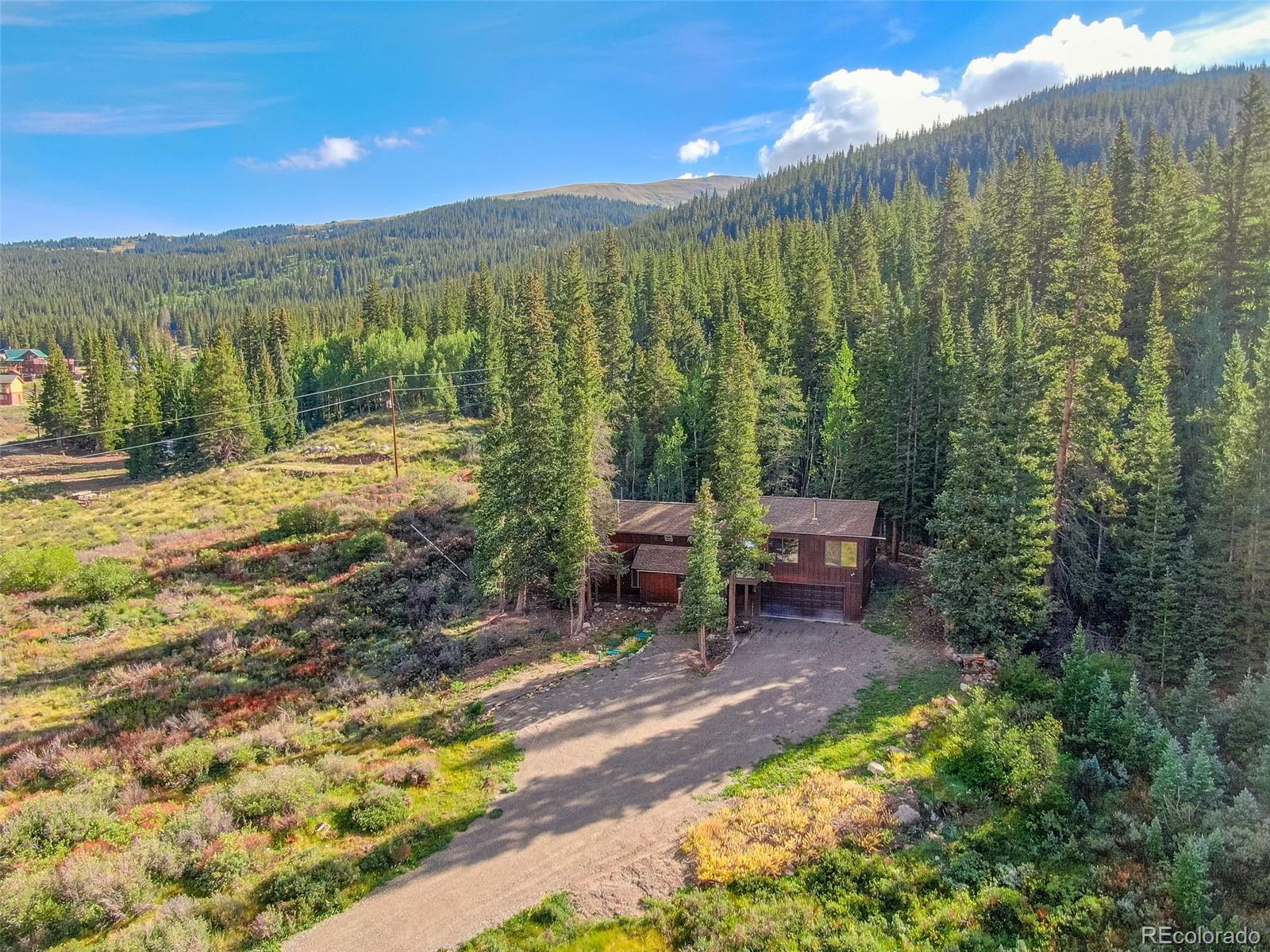 MLS Image #32 for 1772  cr-4 ,fairplay, Colorado