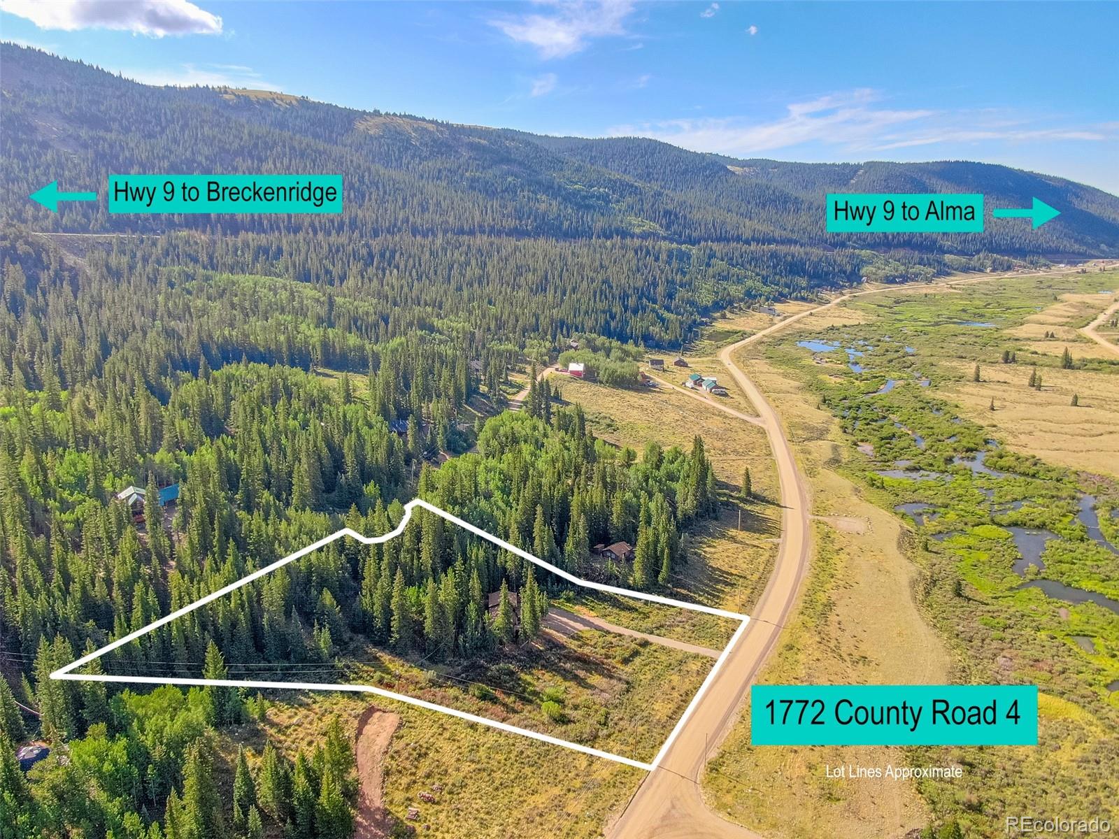 MLS Image #4 for 1772  cr-4 ,fairplay, Colorado