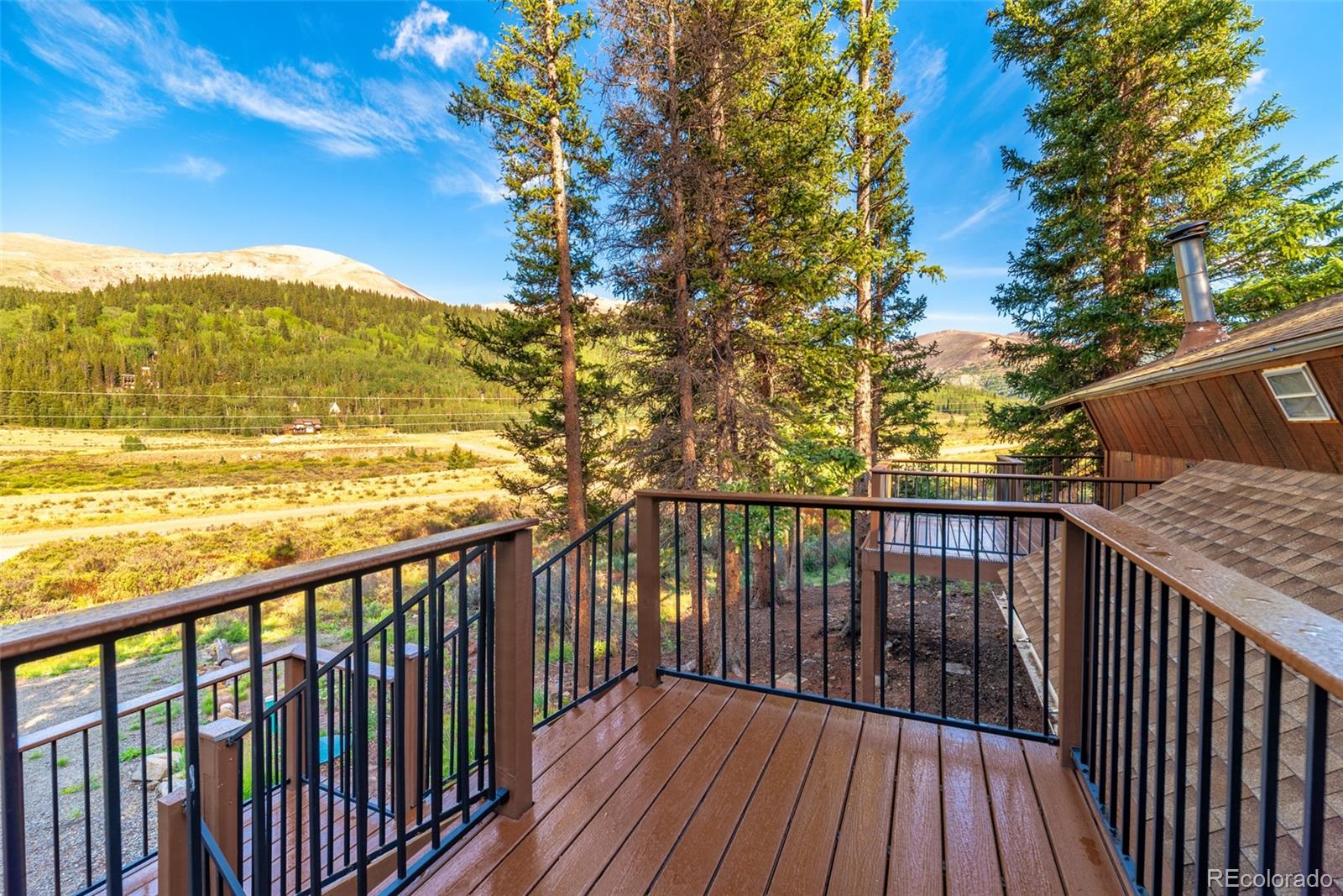 MLS Image #5 for 1772  cr-4 ,fairplay, Colorado