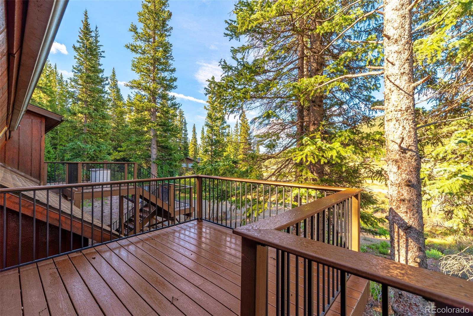 MLS Image #7 for 1772  cr-4 ,fairplay, Colorado