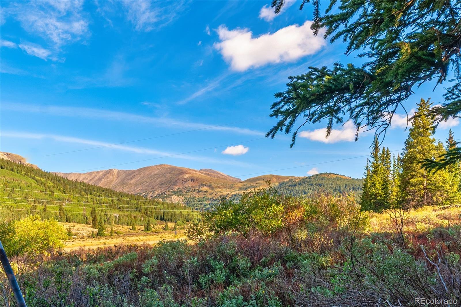MLS Image #8 for 1772  cr-4 ,fairplay, Colorado