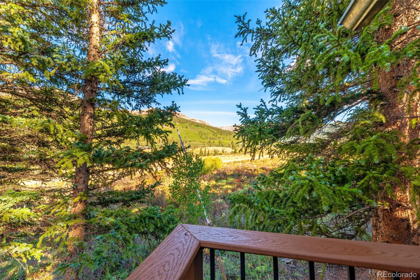 MLS Image #9 for 1772  cr-4 ,fairplay, Colorado