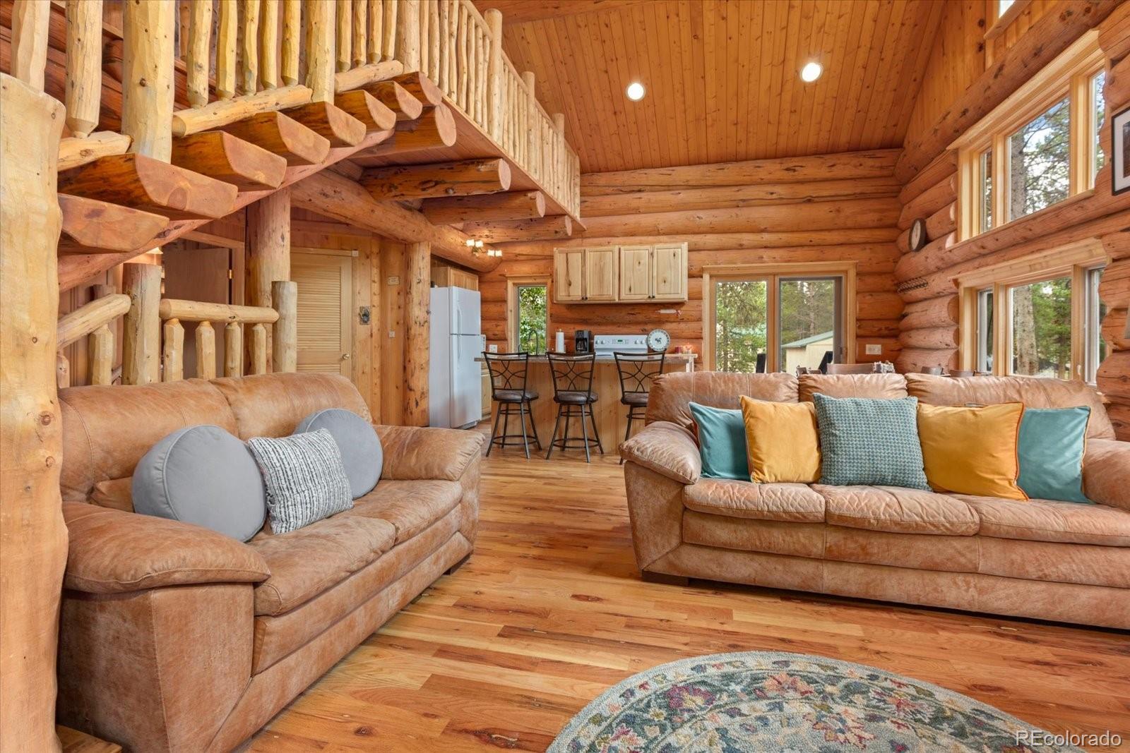 MLS Image #16 for 682  spruce drive,leadville, Colorado