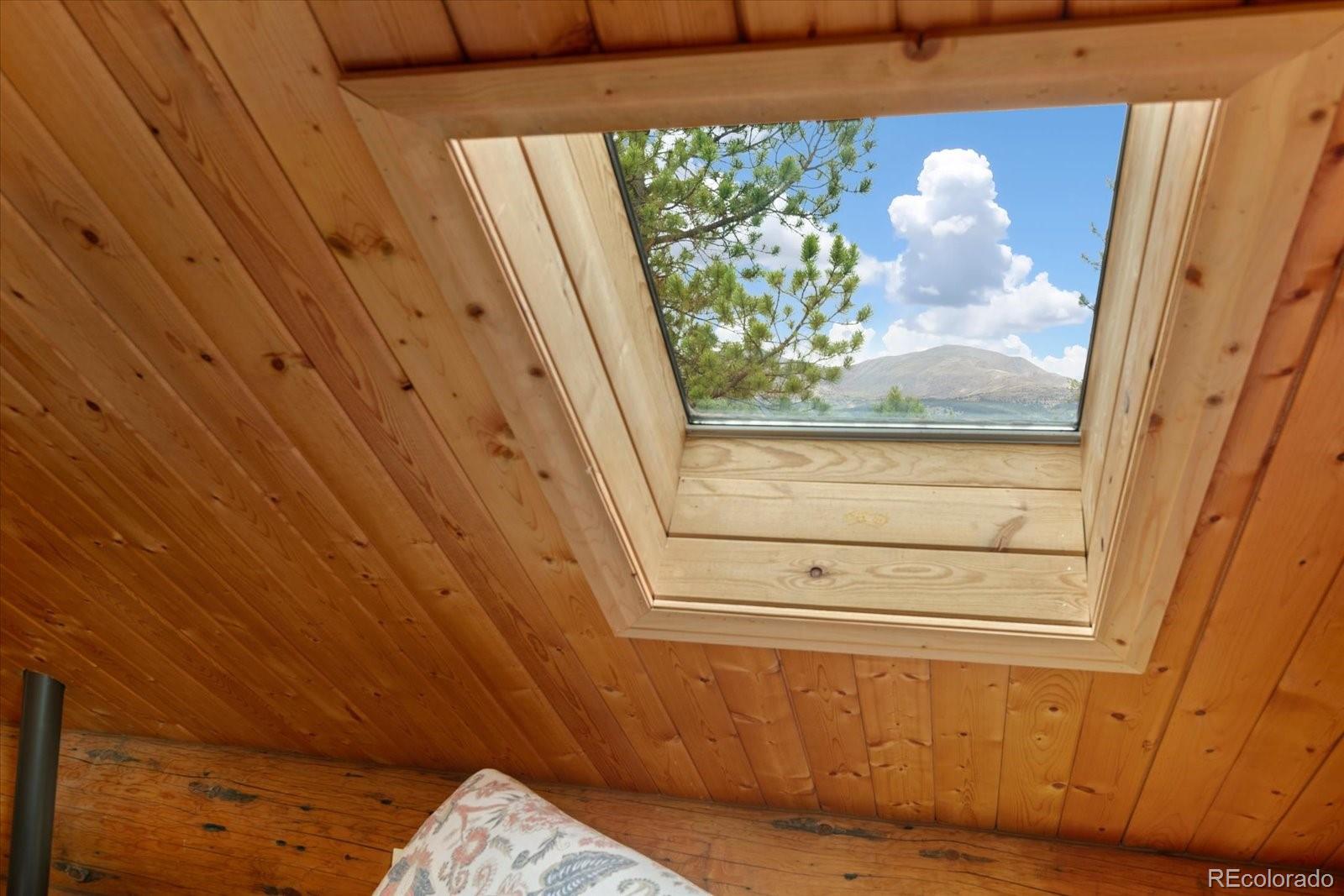 MLS Image #35 for 682  spruce drive,leadville, Colorado