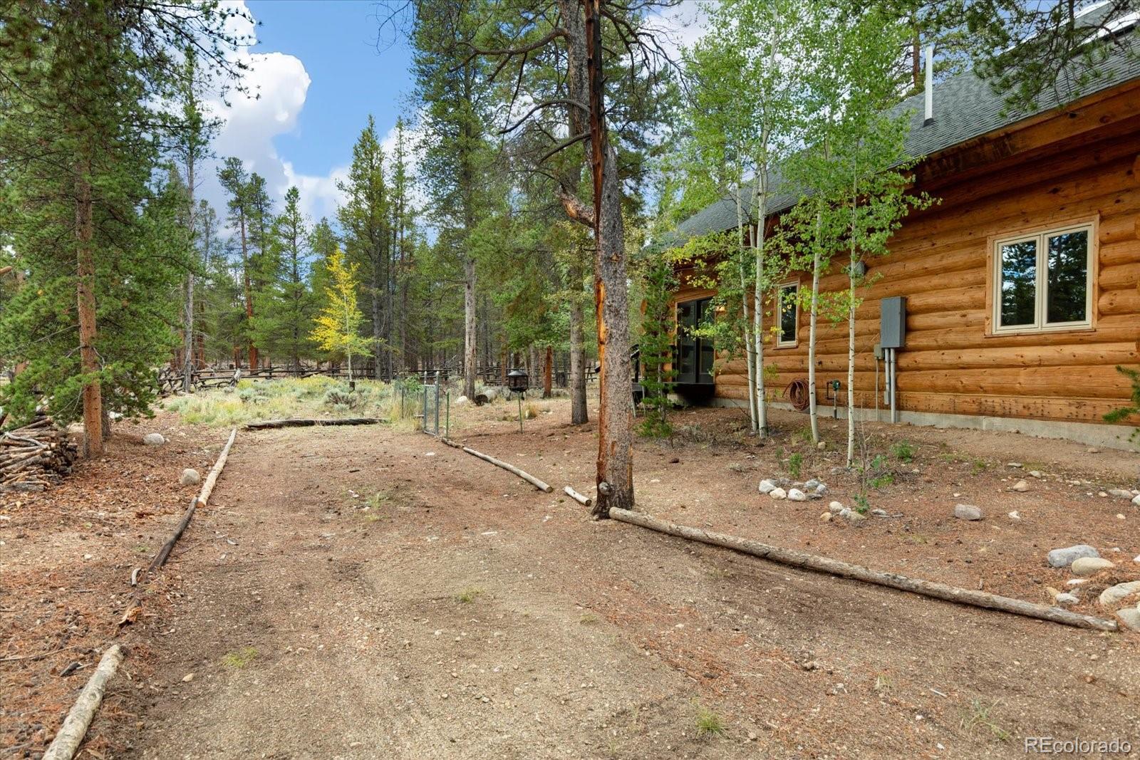 MLS Image #5 for 682  spruce drive,leadville, Colorado