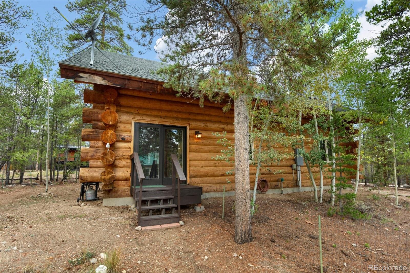 MLS Image #6 for 682  spruce drive,leadville, Colorado